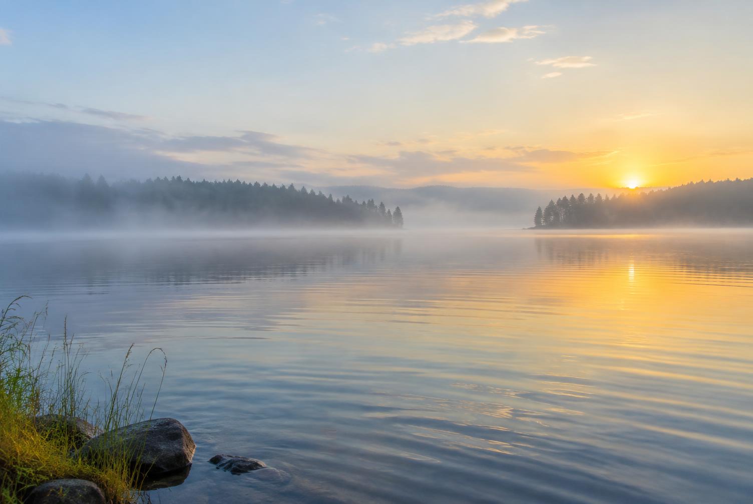 Still water of a misty lake at first light